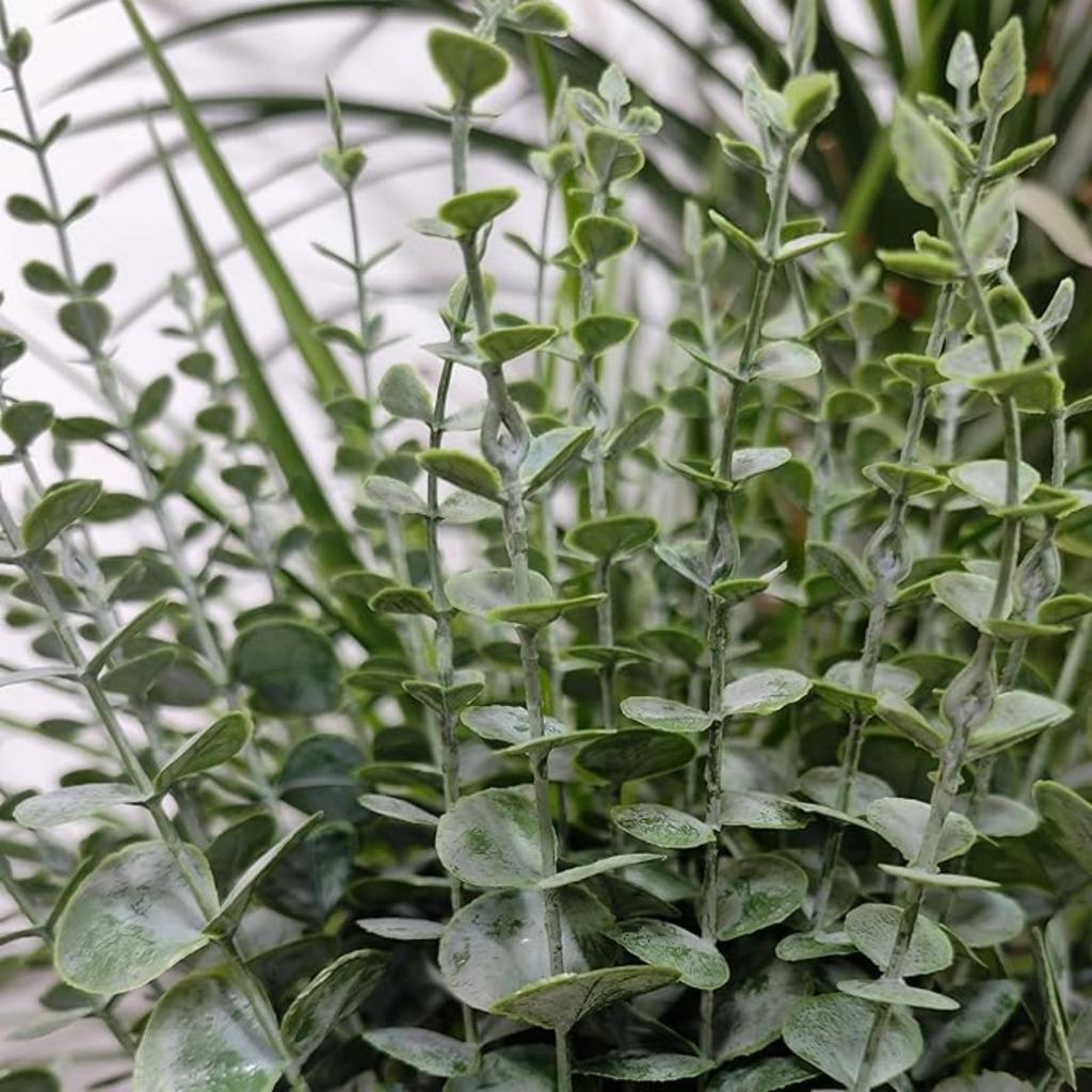 Eucalyptus Stems Decor Artificial Eucalyptus Leaves Faux Eucalyptus Stems Real Touch Fake Greenery Branches for Wedding Flower