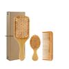 Hair Brushes And Comb Set, For Women And Detangling, Great On All, Handmade For Men(3Pcs Set C with Box)