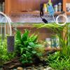 Mini Fish Tank Oxygen Pump Ultra Quiet Aquarium Aerator Aquarium Air Pump Aquarium