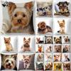 1ks Roztomilý pejsek Yorkie BICHON Pejsek Yorkshire Dekor Potisk Pouzdro na polštář Ložnice Pohovka Potah na polštářek Dekorace do auta Potah na polštář