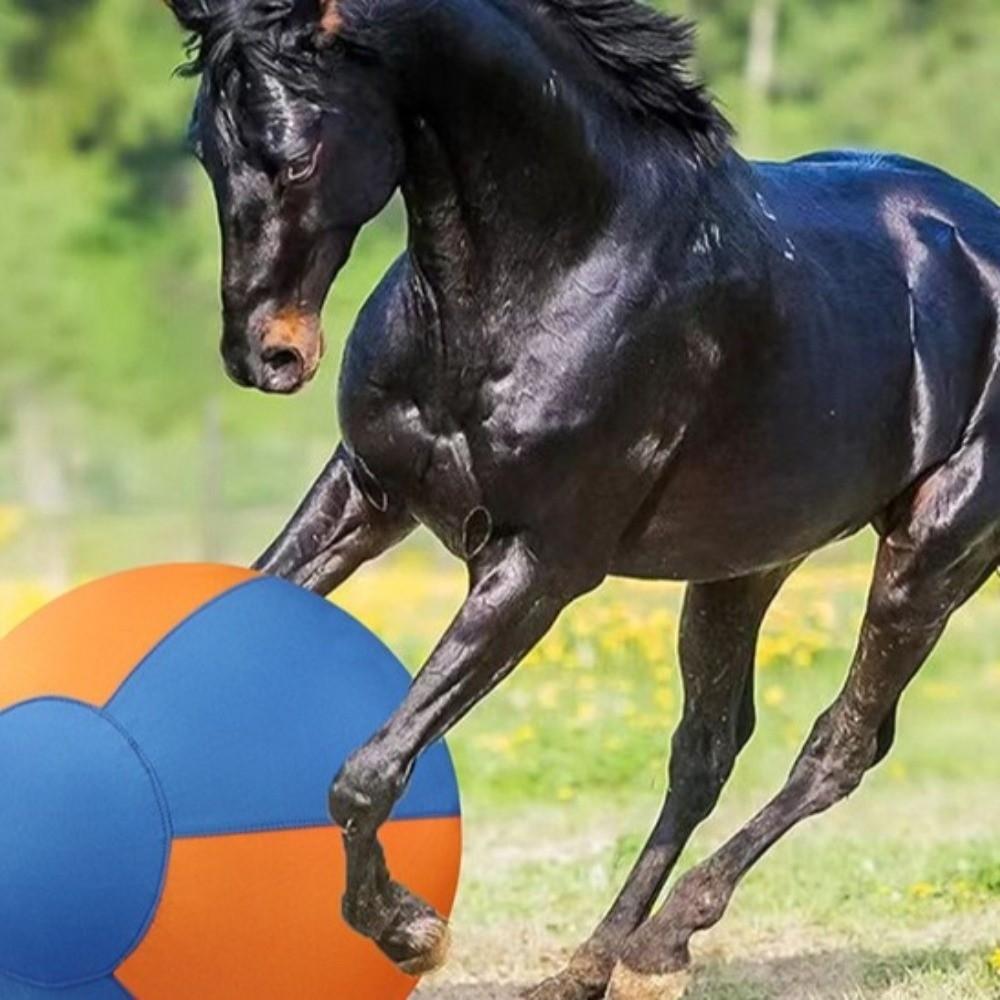 Kratzfester Hütewolf Großer interaktiver Hundeball Hundetrainingsball Weideball Spiel