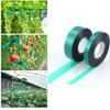 6 Roll 12/24mm Plant Tie Plant Bandage Garden Plant Support Tape Gardening Fastener Tape for Home Garden Accessories