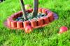 Garden Palisade with IPAL7 Collar | Terracotta