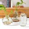 Decorative Flower Bottle Nordic Glass Vase Transparent Bud Vase Designed Hydroponic Plant Pot Living Room Decor Table Ornaments