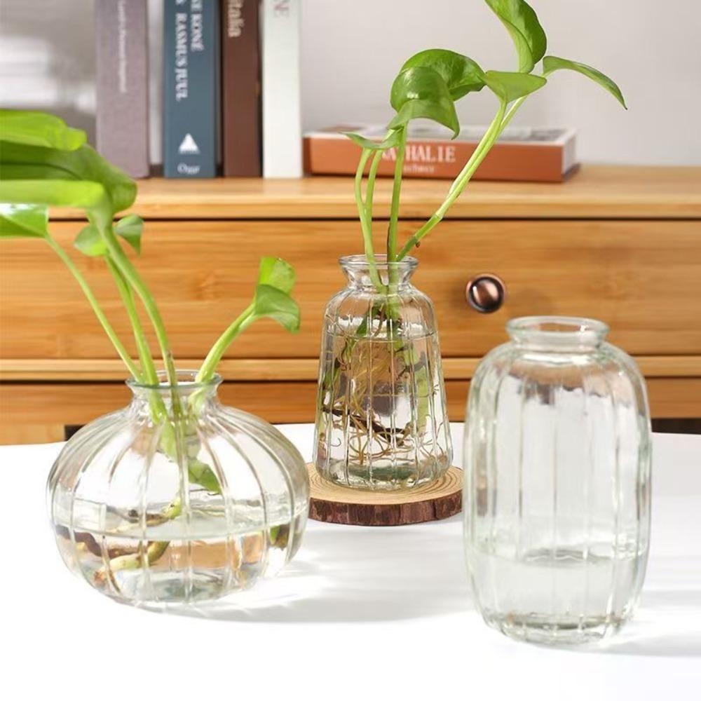 Decorative Flower Bottle Nordic Glass Vase Transparent Bud Vase Designed Hydroponic Plant Pot Living Room Decor Table Ornaments