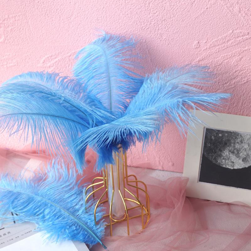 Color 20-25Cm Ostrich Hair Vase Ornament Wall Feather Decoration Hand Bouquet Flower Arrangement Diy Material