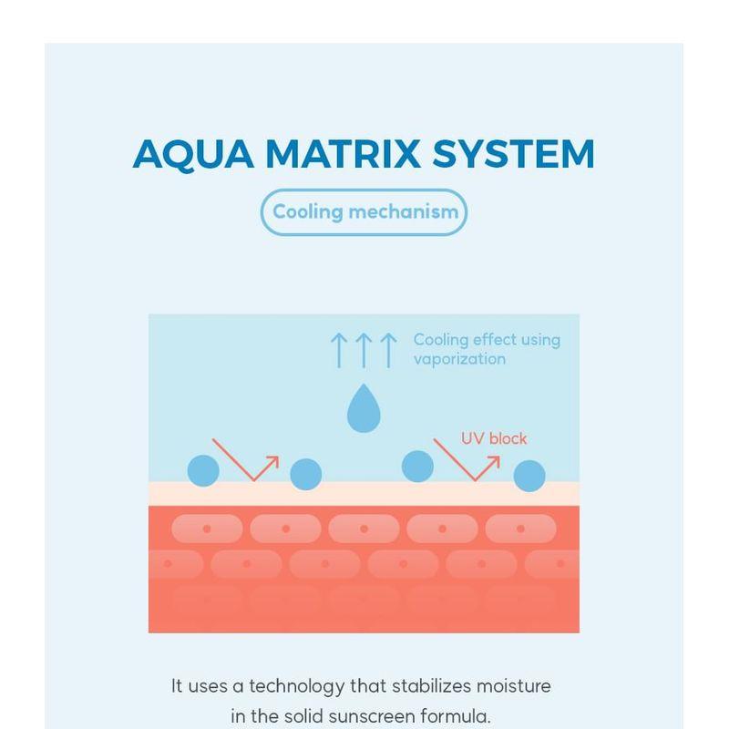 Cell Fusion C Stick Sunscreen 100