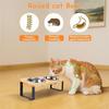Practical-Elevated Cat Bowls, Non-Slip 32 Oz Stainless Steel Food Bowls, 15° Tilted Raised Pet Dishes, Raised Cat Bowl Feeder