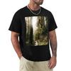 T-shirt Sentiero della Foresta Dorata T-shirt Morbida Resistente in Cotone