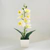 Phalaenopsis Artificial Faux Plants Multi-Bloom Bonsai  Living Room Ornaments