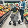 Shopping Trolley, 46 Litre Bag, Foldable Shopping Cart with Cooler Bag, Adjustable Handle, Aluminum Frame, Grey