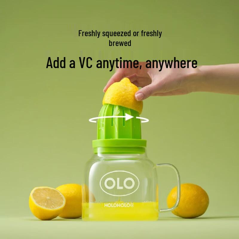 HOLOHOLO Glass Tea Infuser Bottle with Straw