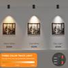 LED Dimmable Ceiling Spotlight 12W 3CCT 3000K/4000K/5000K Adjustable Indoor Directional Spotlight Fixtures for Room Living Hallway Gallery Art