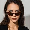 Vintage Sexy Lady Cat Eye Sunglasses Women Fashion Cool Small Frame Hip Hop Sun Glasses For Female Uv400