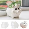 Flowerpot Mould Silicone Wild Boar Planter Mold for Making Resin Jewelry Decorative Planter Multiple Crafting Materials