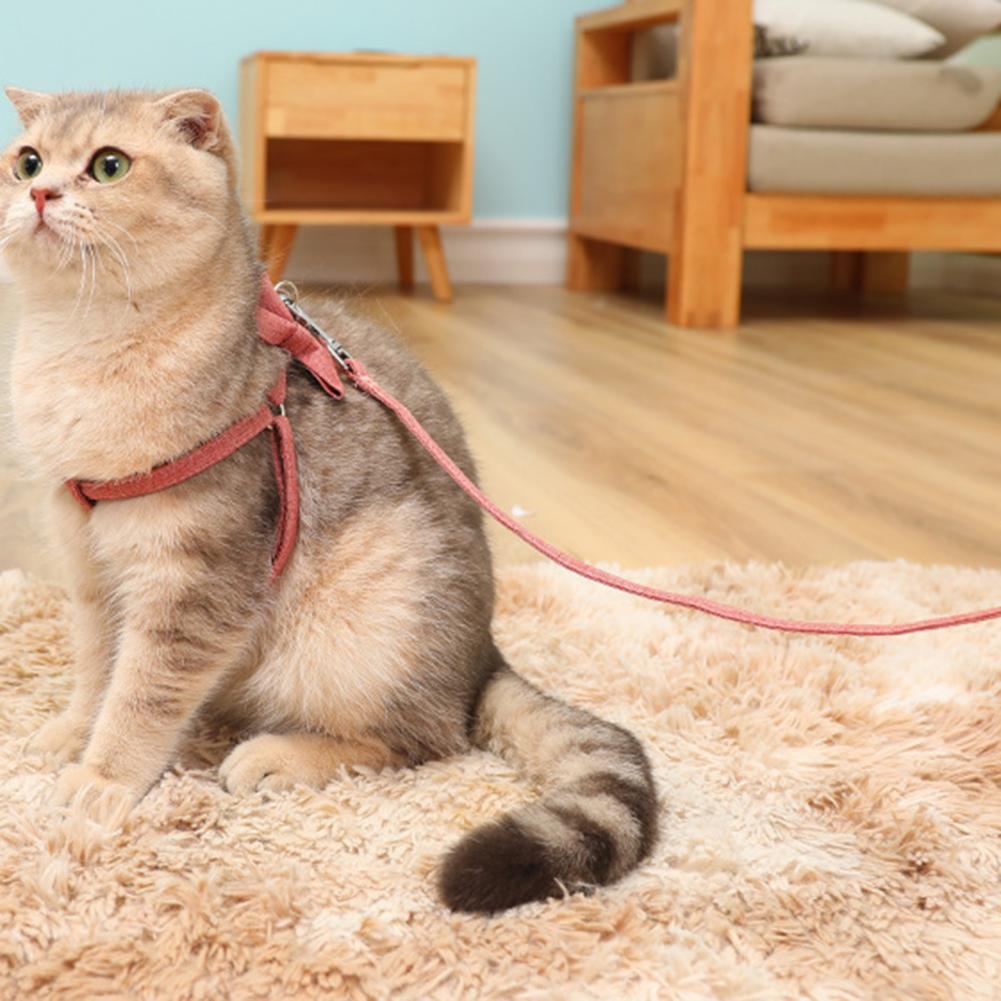 Dog Harness Leash Collar Set Combo Escape Proof Easy Control Accessory Bow Design Dog Collar Leash Outdoor Walking Pets Supplies