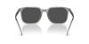 Sunglasses 0HC8411U TRANSPARENT GRAY 55 [Coach]