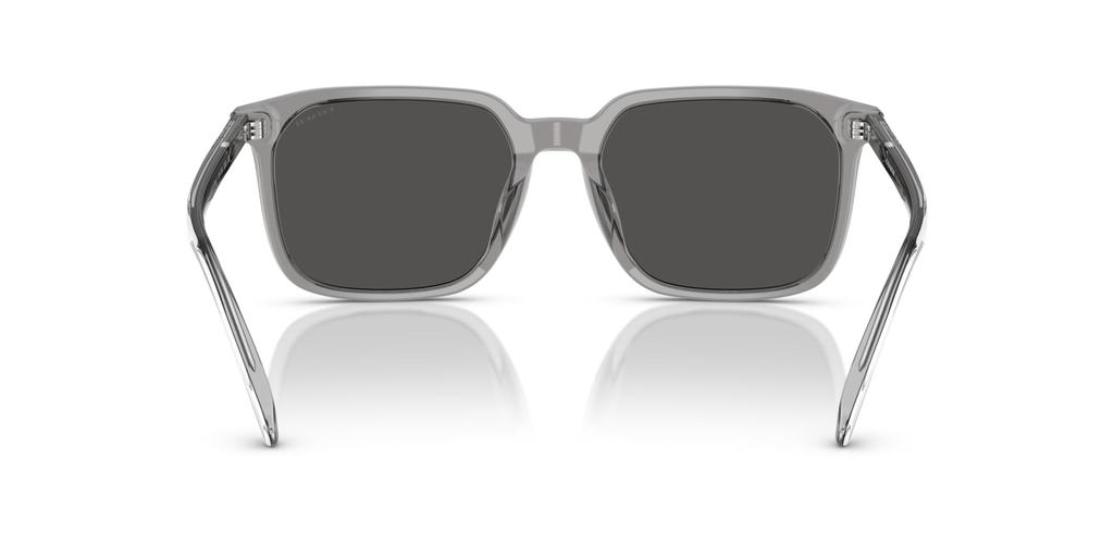 Sunglasses 0HC8411U TRANSPARENT GRAY 55 [Coach]