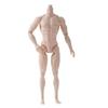 White/Normal/Tan 1/6 Male Doll Strong Man Multi-Joints Male Model Movable 13 Joint Action Figure Body Collections