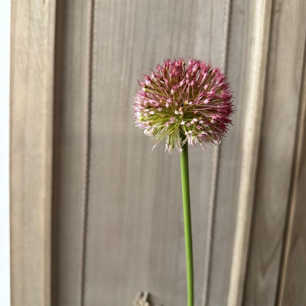 Scallion Balls Artificial Onion Ball Flowers Single Dandelion Branch Flower  Living Room Ornaments