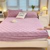 2025New Thickened Warm Bed Sheet Single Piece Autumn Winter Coral Fleece Bed Sheet Taffeta Mattress Protector