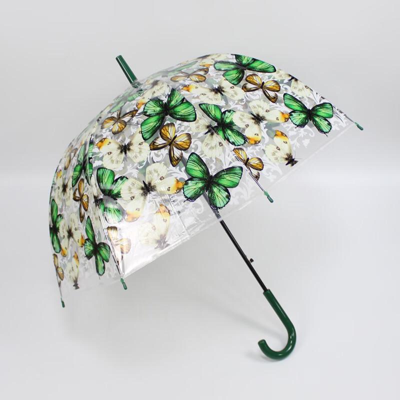 PALONY Transparent Long-Handle Umbrella