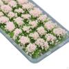 Grappe de Verdure pour Modèles de Dioramas Miniatures