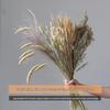 Wabi-sabi Dried Flower Arrangement: Reed, Pine Cones, Cotton, Wheat, Poppy Bouquet