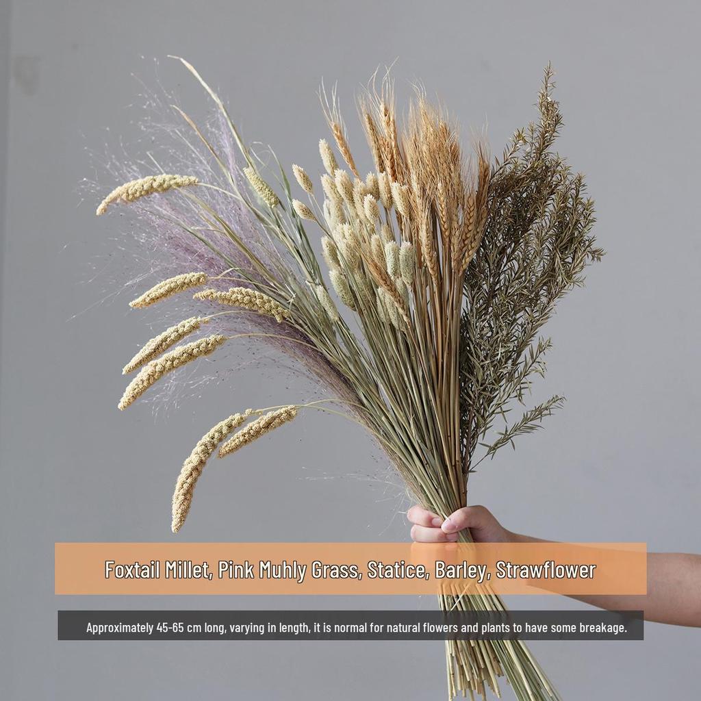 Wabi-sabi Dried Flower Arrangement: Reed, Pine Cones, Cotton, Wheat, Poppy Bouquet
