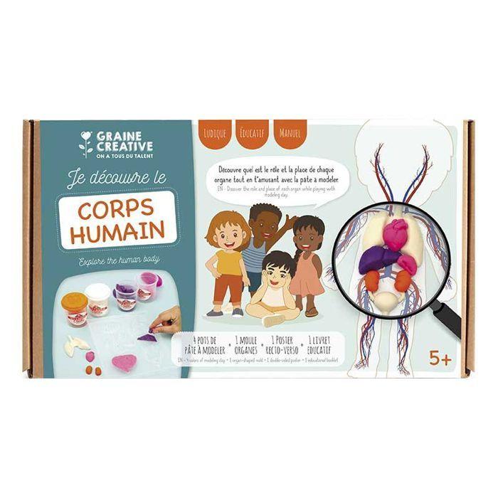 Kit créatif pâte à modeler - Je découvre le corps humain