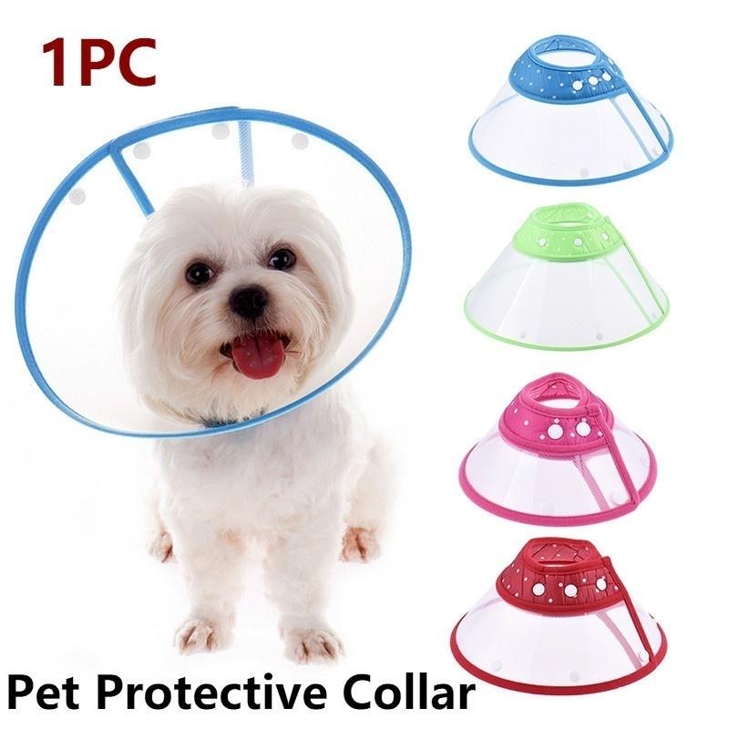 pet protective collar
