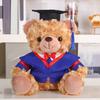 Plyšový medvídek absolvent 2025 s talárem, čepicí a střapcem, roztomilý hnědý absolvent