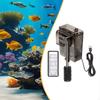 Pești și animale marine – Întreținerea acvariului