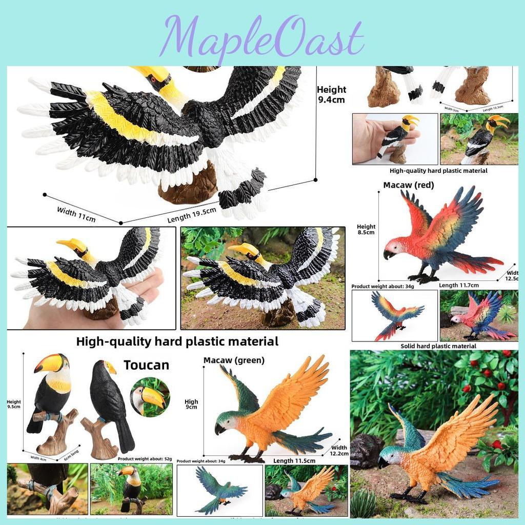 Wildlife Animal Model Solid Plastic Parrot Bird Display Figure For Kids Playroom Decor