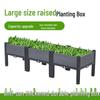 Extra-Large Plastic Balcony & Rooftop Planting Box for Vegetables & Flowers