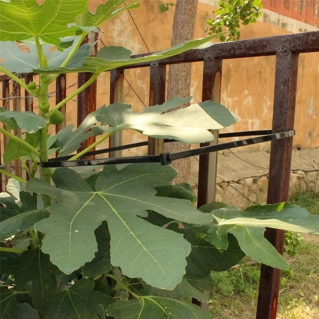 100 sztuk opasek kablowych nylonowych 3100mm Szerokość 1,9MM Pogrubione