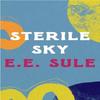 Sterile Sky by E.E. Sule Paperback Book 9781035900725