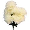 Bouquet of 9 Artificial White Chrysanthemums 58 CM - Decoration for All Saints' Day