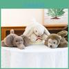 Bonecas e peluches – Peluches