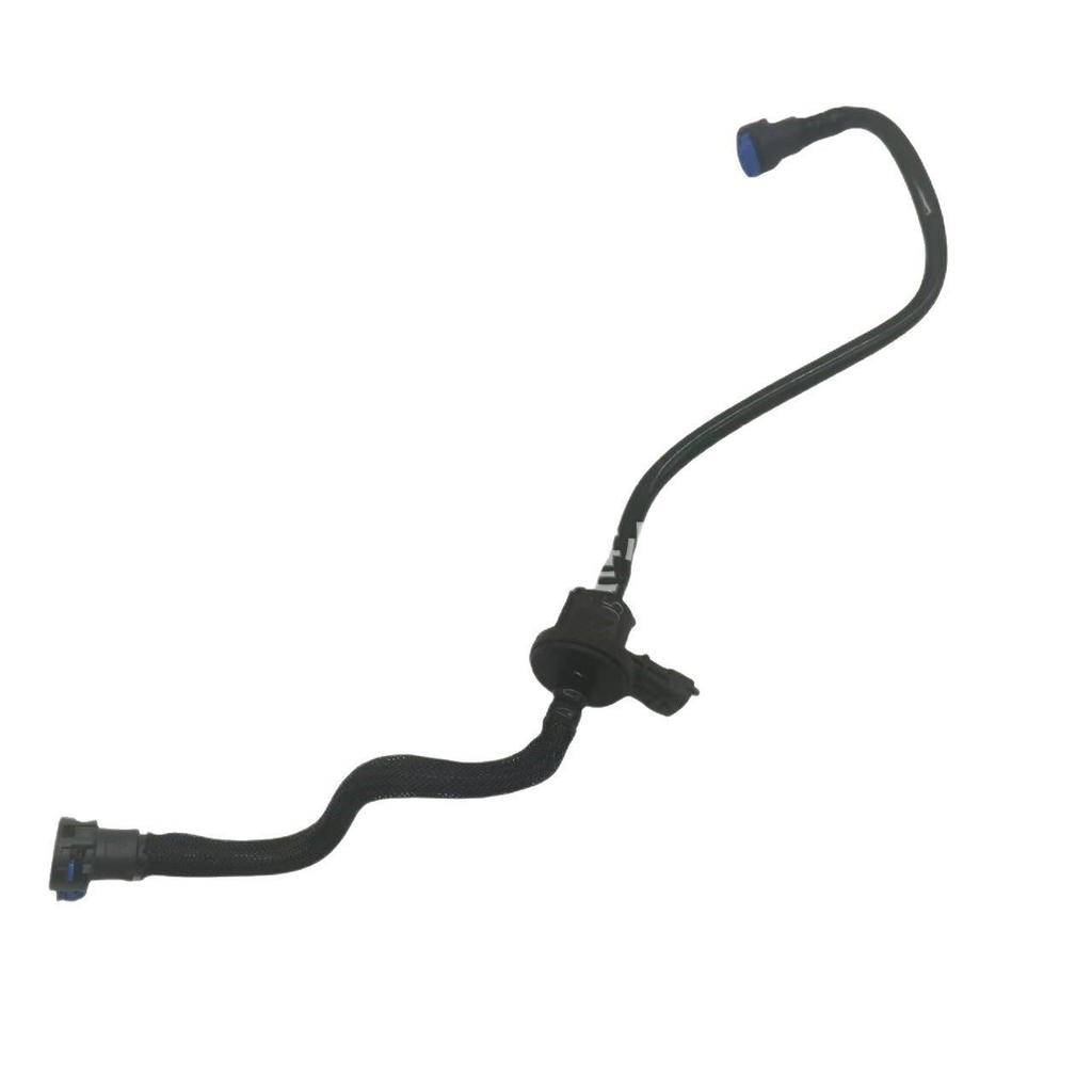 Kohlefilter-Magnetventil BV6Z9D289A für Ford FKS/2.0 (2012-2018)