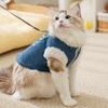 Pet cotton-padded clothes, piled and thickened autumn and winter adult cat kittens, hairless cats, warm two-legged small dog dog cat clothes