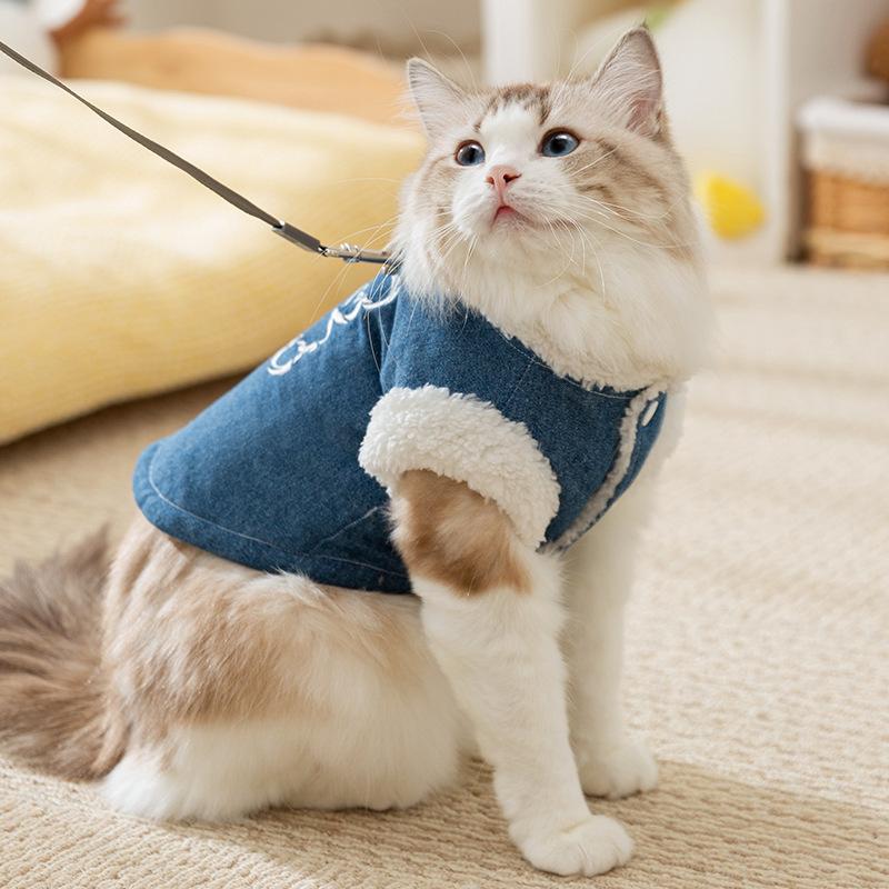 Pet cotton-padded clothes, piled and thickened autumn and winter adult cat kittens, hairless cats, warm two-legged small dog dog cat clothes