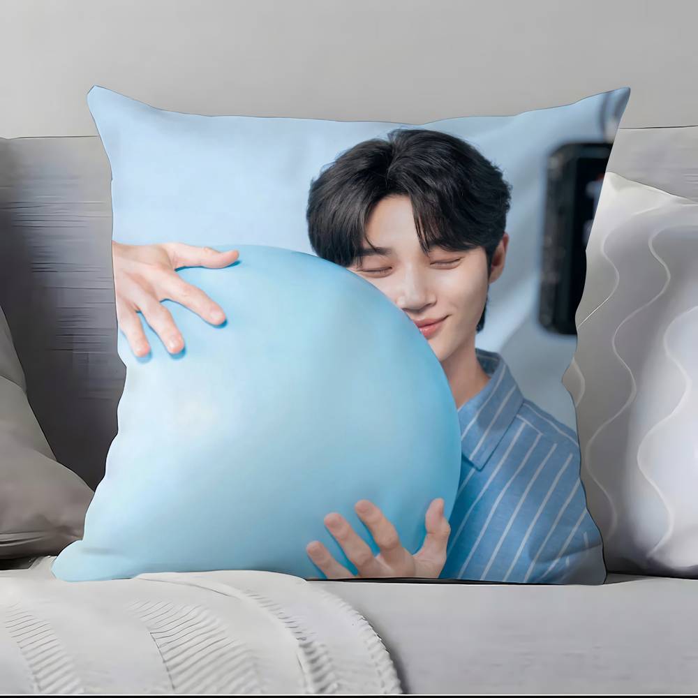 B-B-Byeon W-W-Woo-seok Pillow Case Pillowcase Soft Skin Friendly & Comfortable With A Hidden Zipper