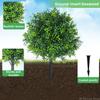 Artificial Boxwood Topiary Trees with Ground Stakes Plastic Greenery Decor for Villa Courtyard Garden Outdoor Patio Ornaments