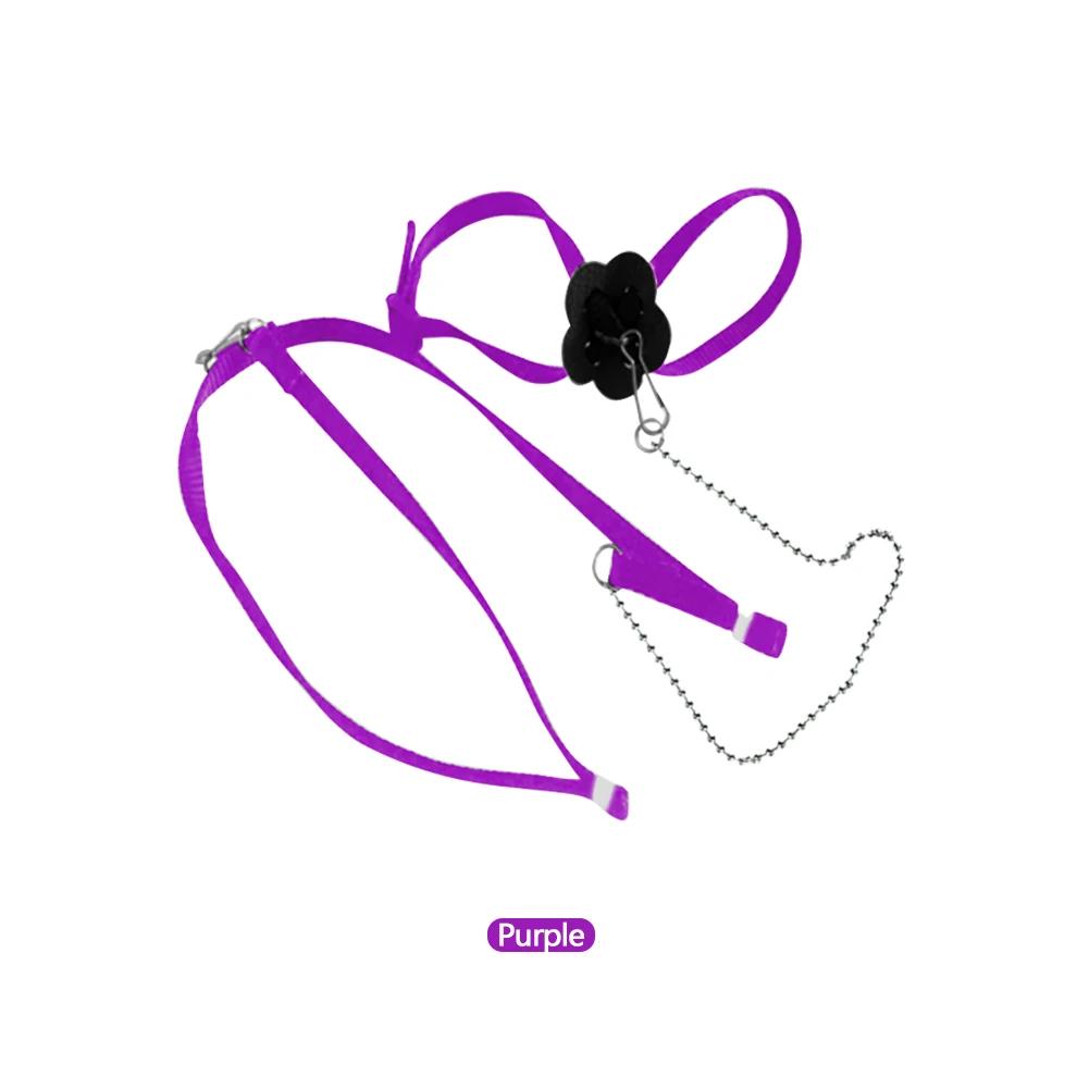 Anti-Bite Harness Leash Adjustable Reptile Lizard Harness Leash Training Walking Rope Pet Leash Pet Collar Chest Strap Lizard