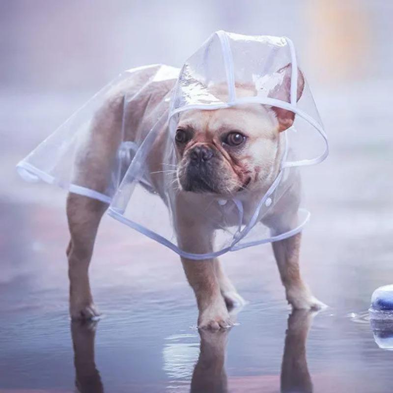 1Pc Dog Raincoat Small Dog Pet Dog Raincoat Transparent Raincoat Pet Clothing Waterproof
