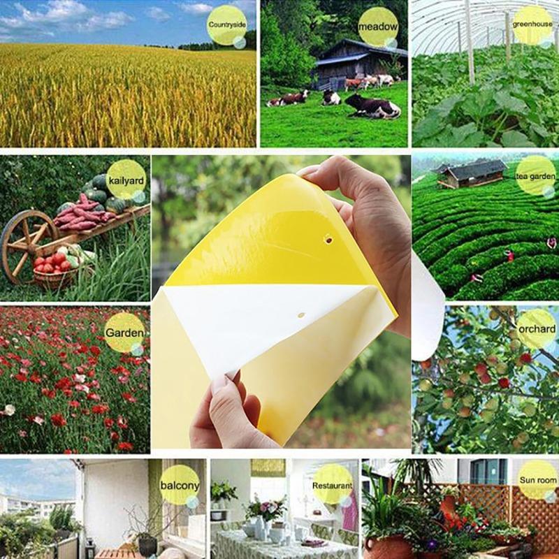 20Pcs Strong Fly Traps Bugs Sticky Board Dual-Sided Catching Aphid Insect Pest Control Whitefly Thrip Leafminer Glue Sticker