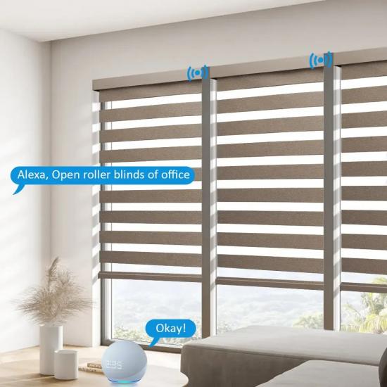Customized Blackout Smart Tuya Google Wifi Control Exchangeable Motor Dual Layer Roller Zebra Blinds For House