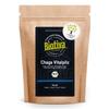 Organic Chaga Powder 125g
