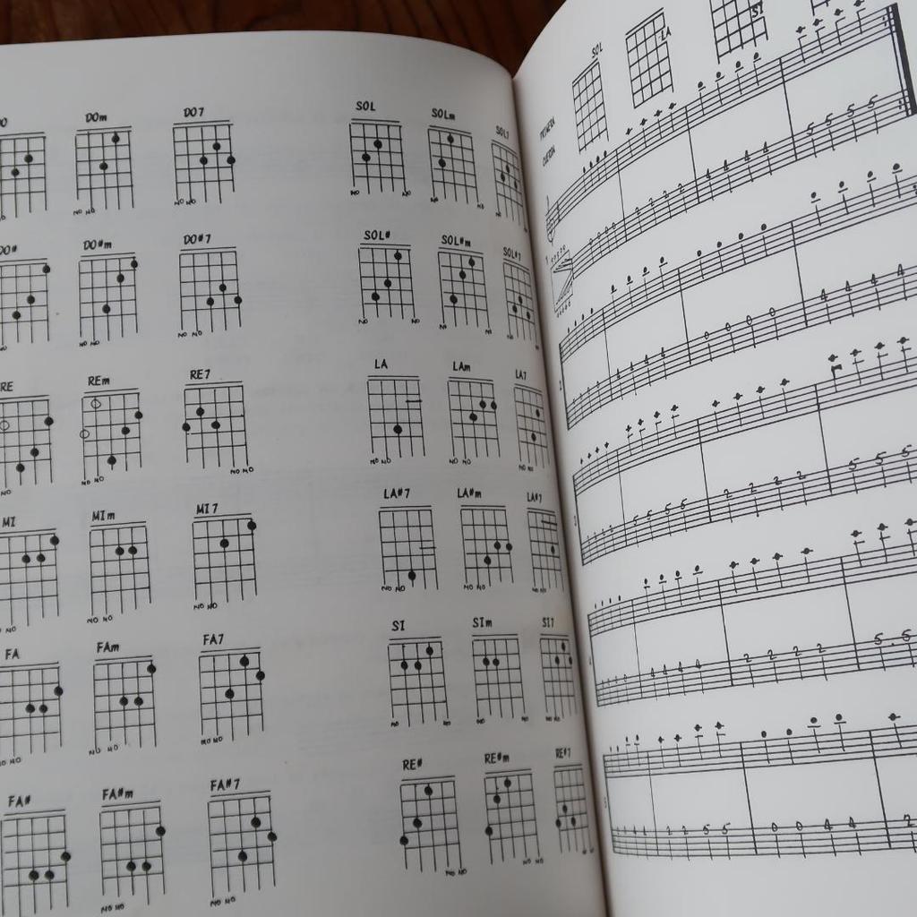 [USED] Foreign Books: Puerto Rico Cuatro Method Vol.1 (String Instrument Cuatro Textbook Score)